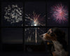 5 Ways to Calm Your Dog During Fireworks Season