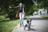 15 Minutes a Day to Stop Your Dog Pulling: A Guide to Loose Leash Walking